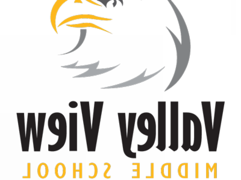 Valley View Middle School Falcons logo